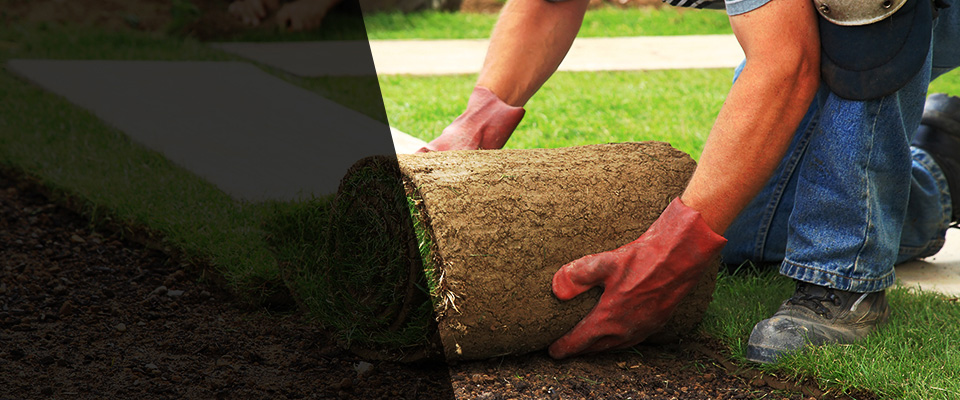 New Baltimore Landscapers